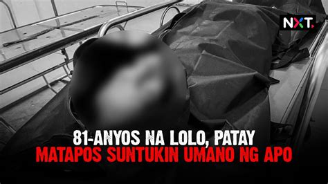 Lolo patay matapos suntukin umano ng apo .